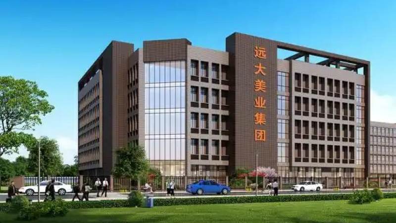赛事结果延迟确认时竞猜订单如何处置